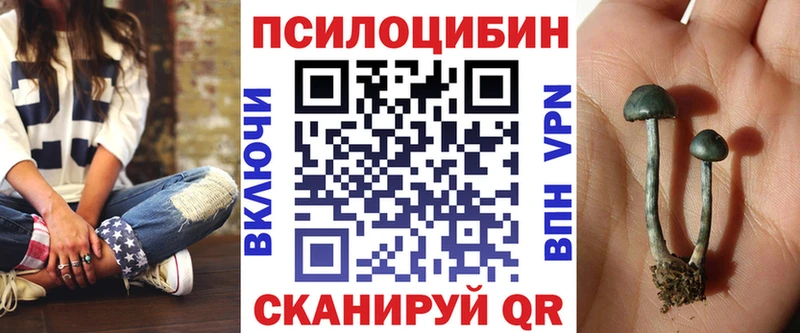 где купить наркотик  Рыбное  Псилоцибиновые грибы Psilocybe 